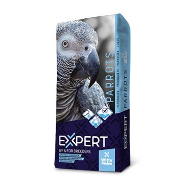 Expert premium parrots - Product shot