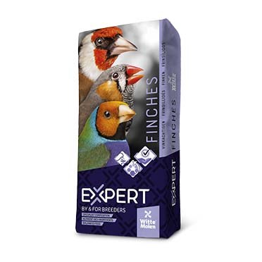 Expert estrildid finches - Product shot