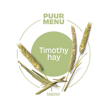 PUUR Timothy hooi - Detail 1