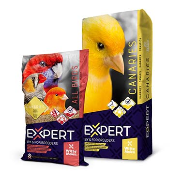 EXPERT Kanaries - Verpakkingsbeeld