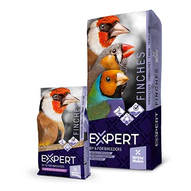 Expert goldfinches - Verpakkingsbeeld