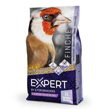 Expert goldfinches - <Product shot>