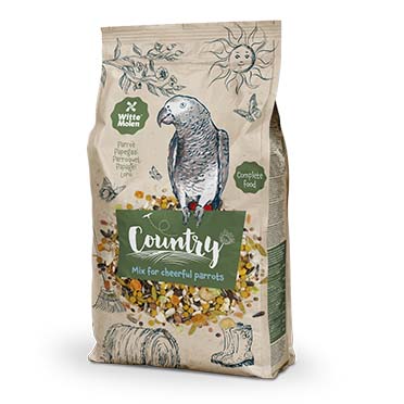 Country parrot - Product shot