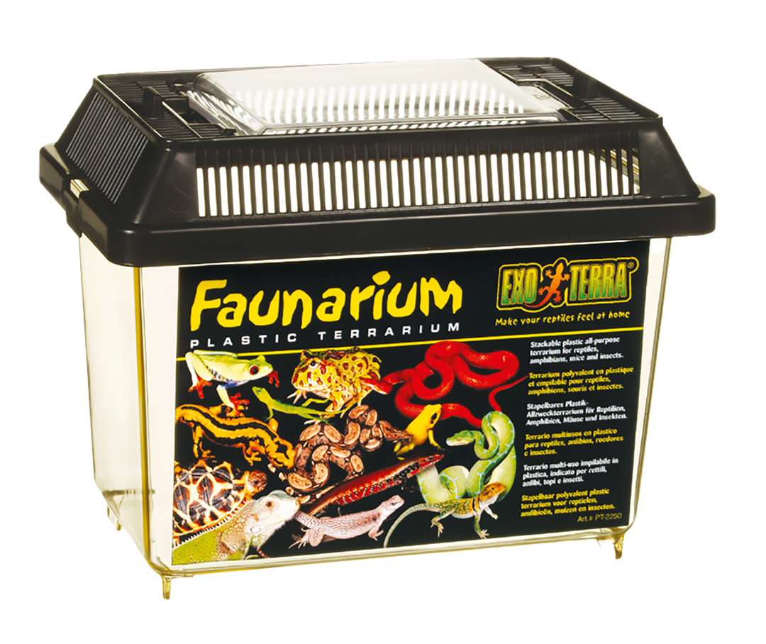 Ex faunarium transparent - Product shot
