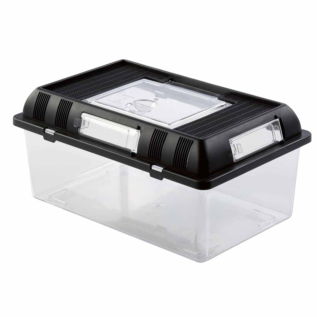 Ex breeding box black/transparent - Product shot