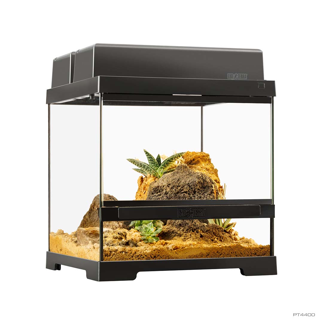 EX Pro terrarium Noir - <Product shot>