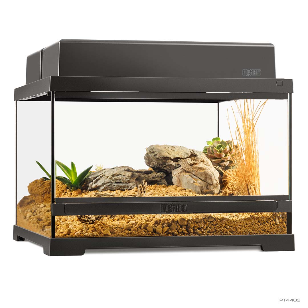 EX Pro terrarium Noir - <Product shot>