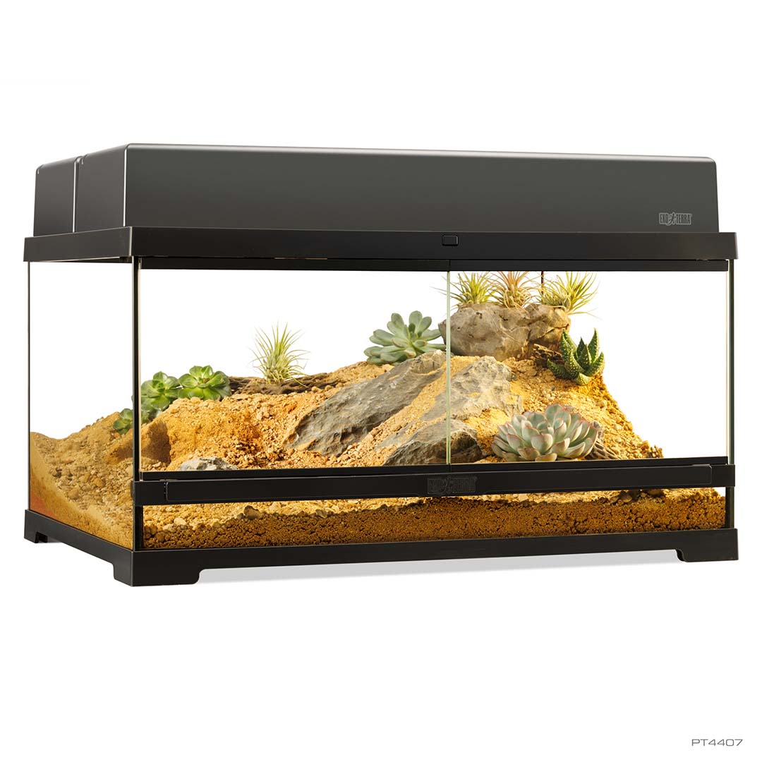 EX Pro terrarium Noir - <Product shot>