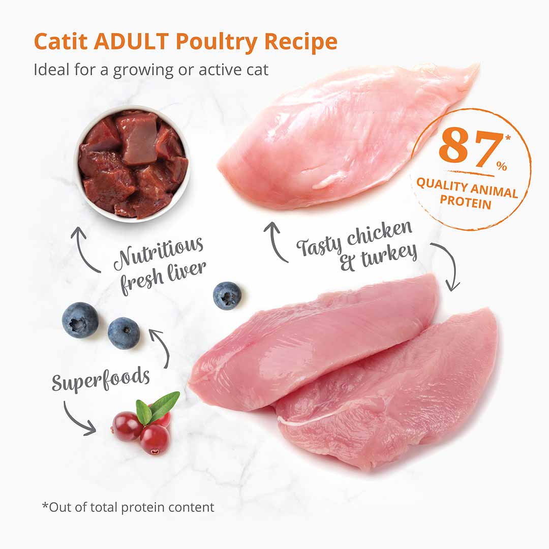 CA Recipes Adult Poultry - Sceneshot