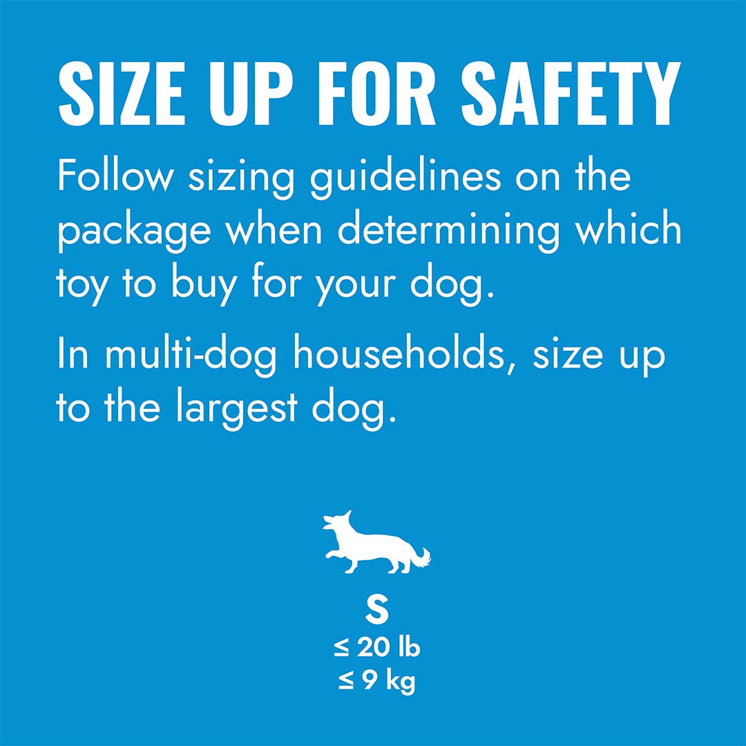 KONG Puppy Flyer Gemischte farben - Detail 2