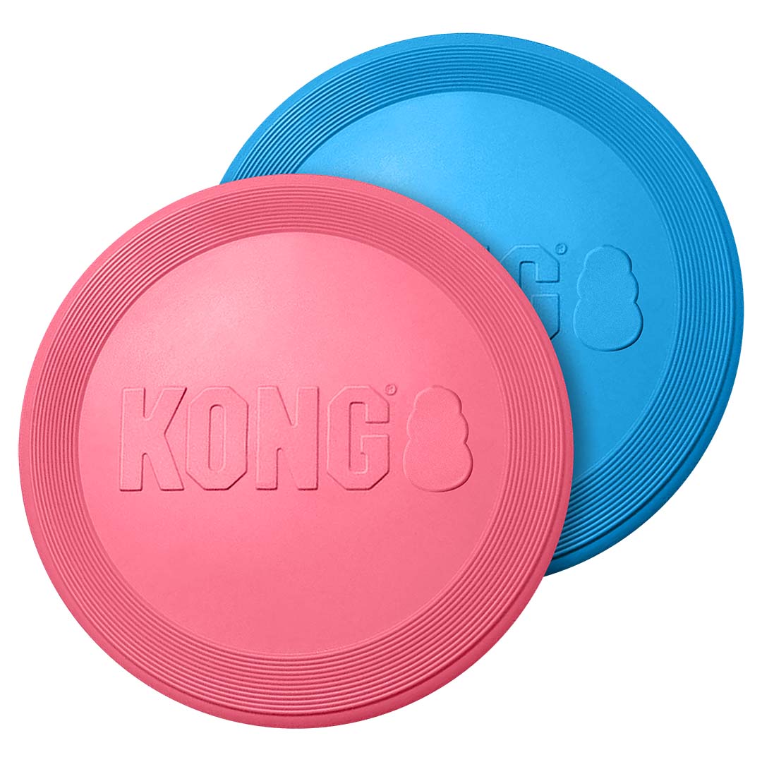 KONG Puppy Flyer Gemischte farben - Product shot