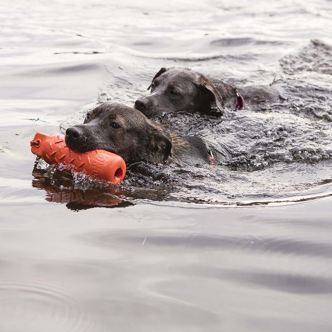 KONG Training Dummy Oranje - Sceneshot
