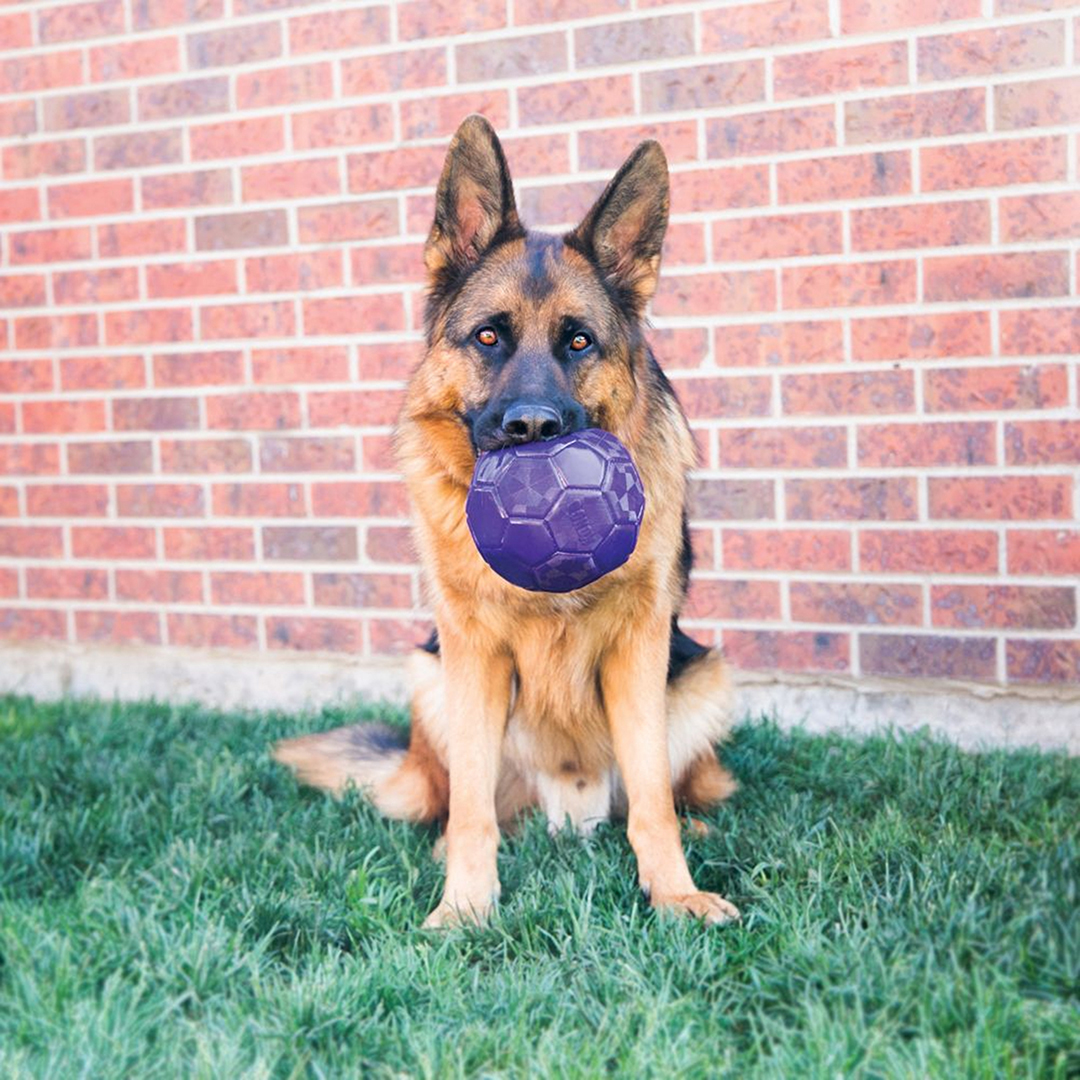 Kong flexball mauve - Sceneshot