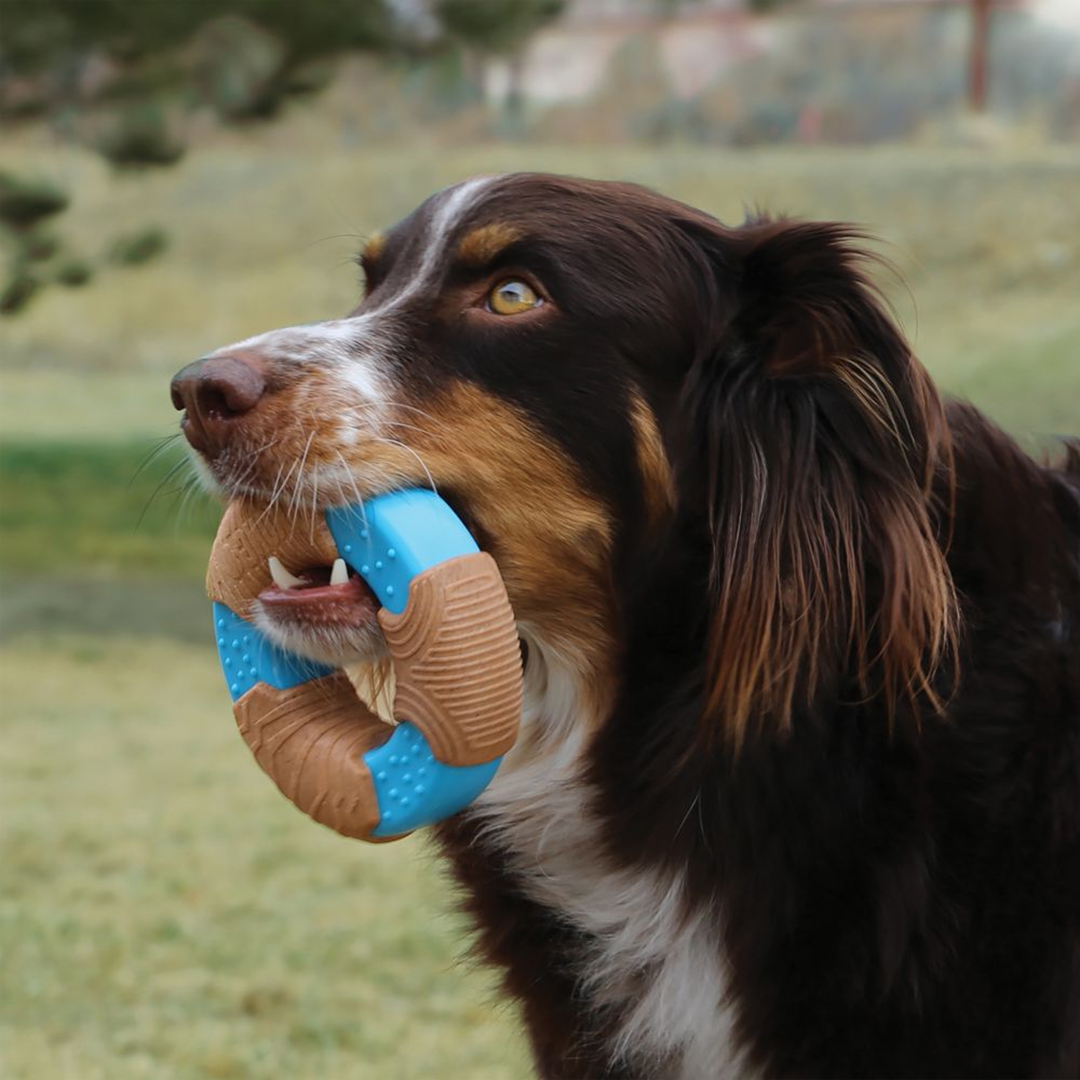 KONG CoreStrength Bamboo Bone bruin/blauw - Sceneshot