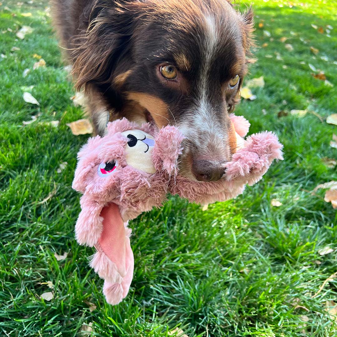 KONG Scrumplez Bunny Roze - Sceneshot