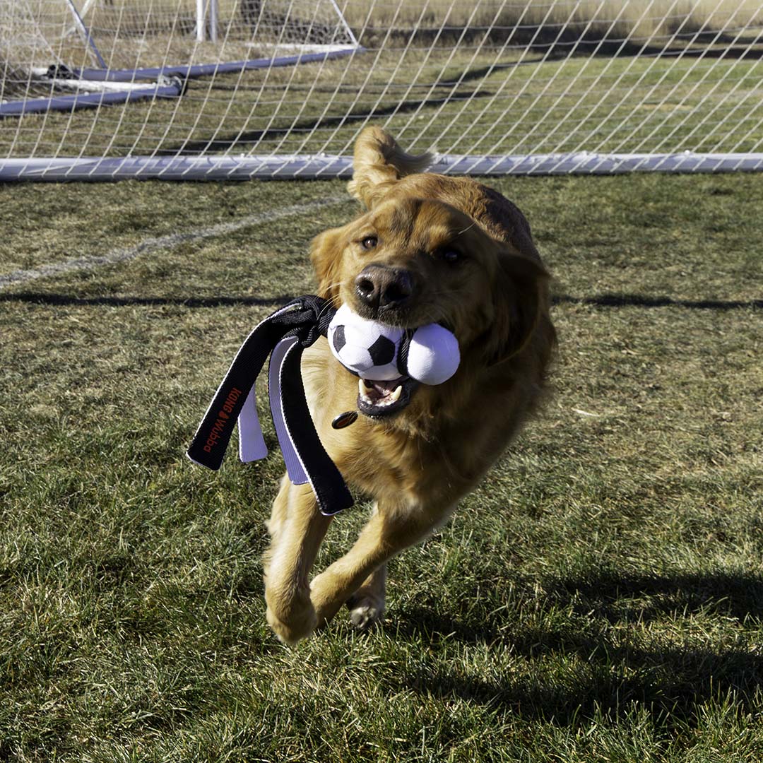 KONG Wubba Sport Football Wit/zwart - Sceneshot