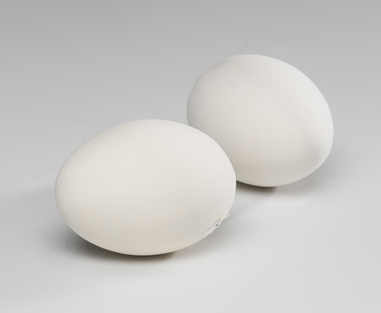 Plastic egg for pigeons hollow, 20pcs - Product shot