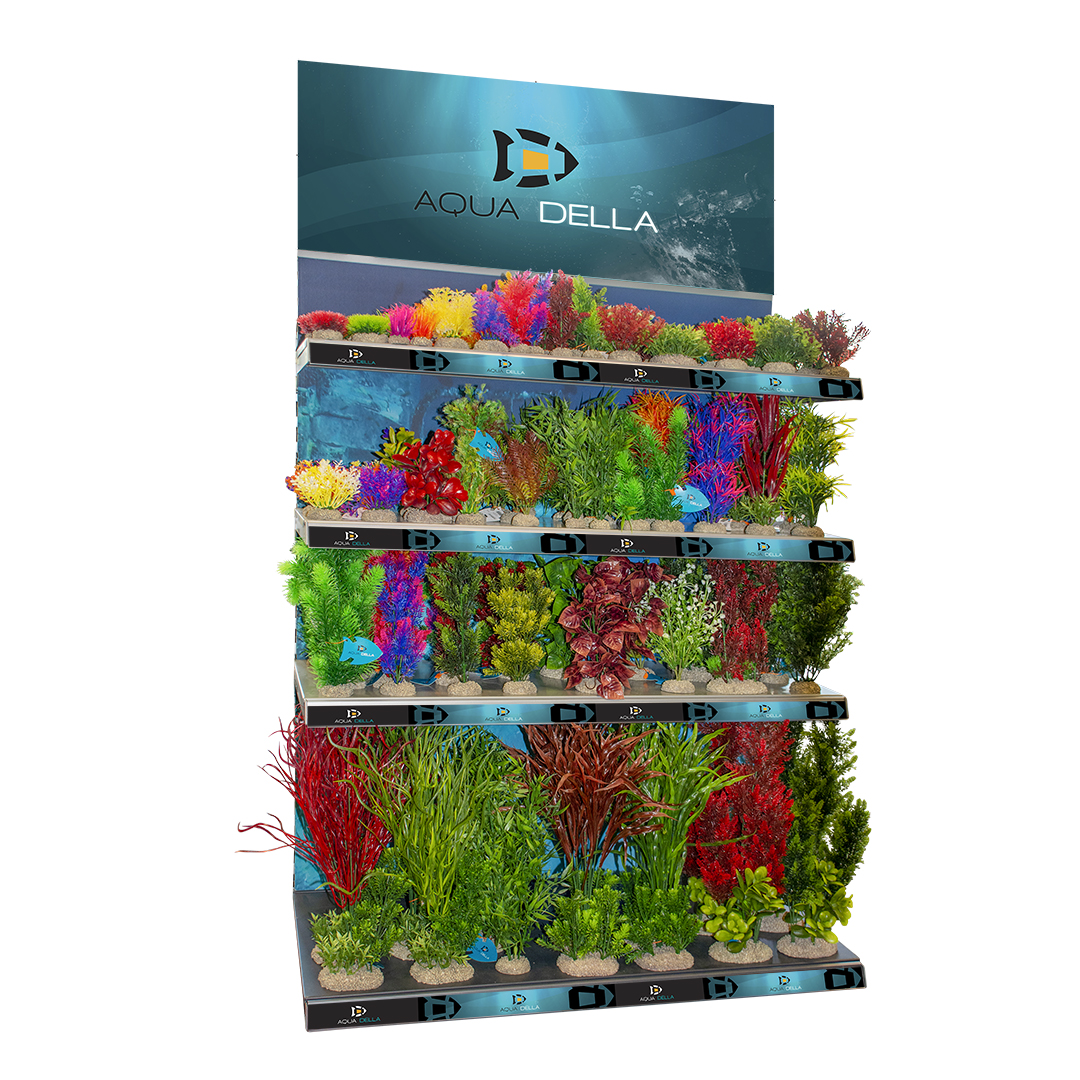 Aqua della concept plantes - Product shot