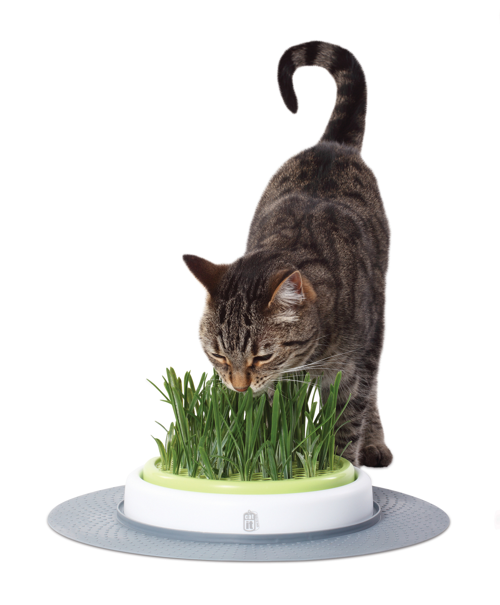 Ca design senses grass garden refill 2pcs - Product shot