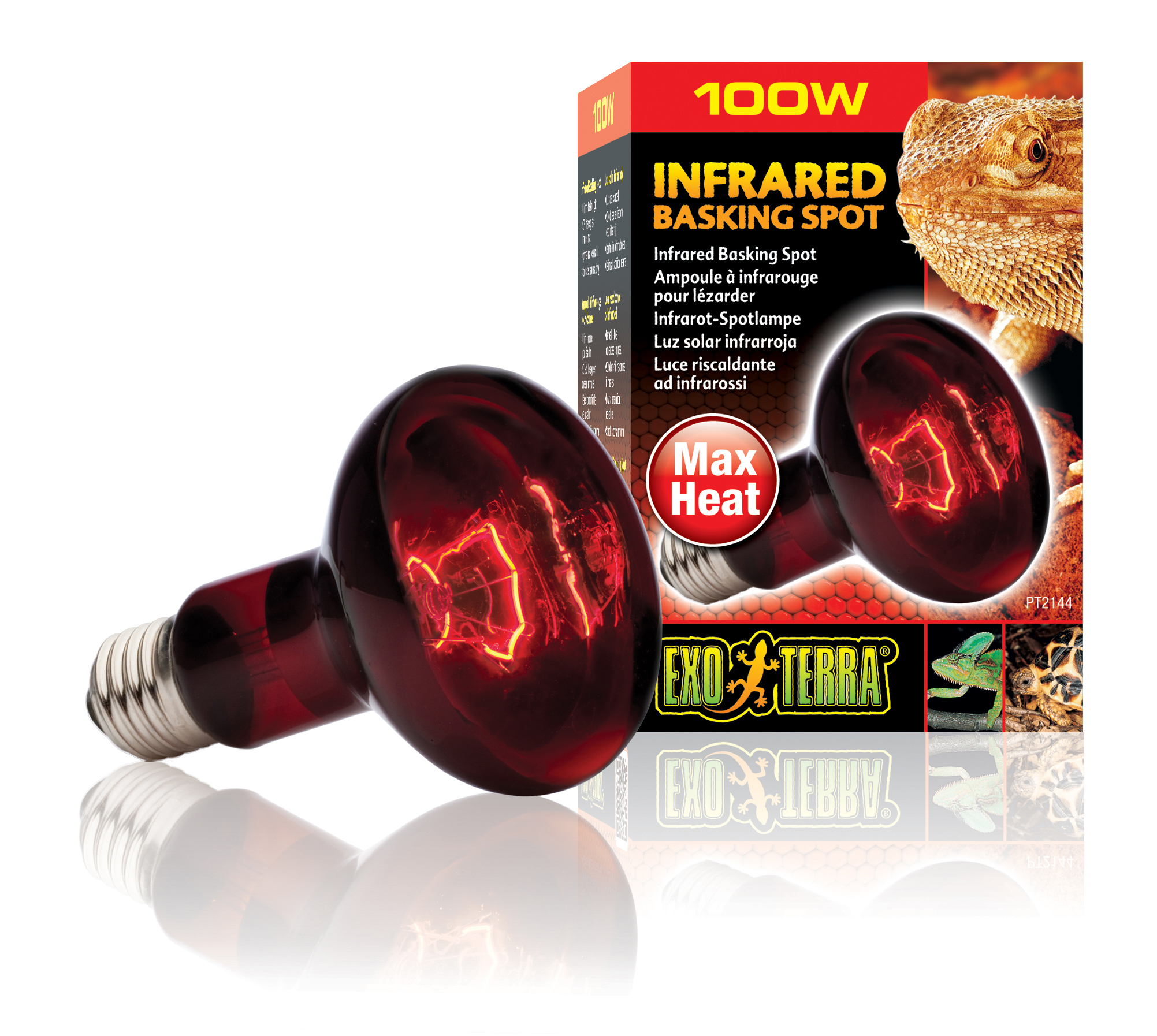Ex lampe infrared basking spot - Product shot