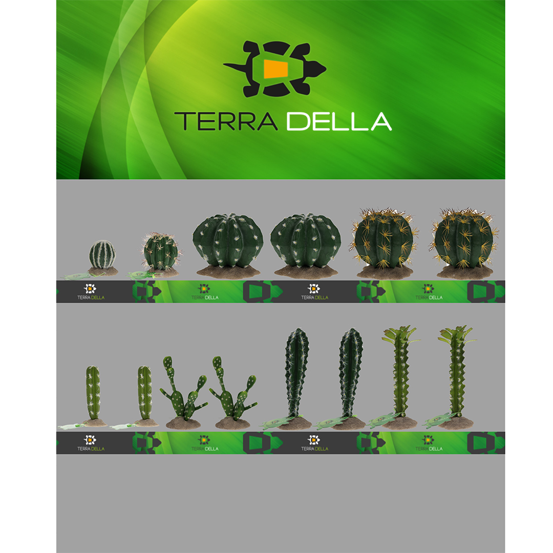 CONCEPT TERRA DELLA CACTUSSEN - Product shot