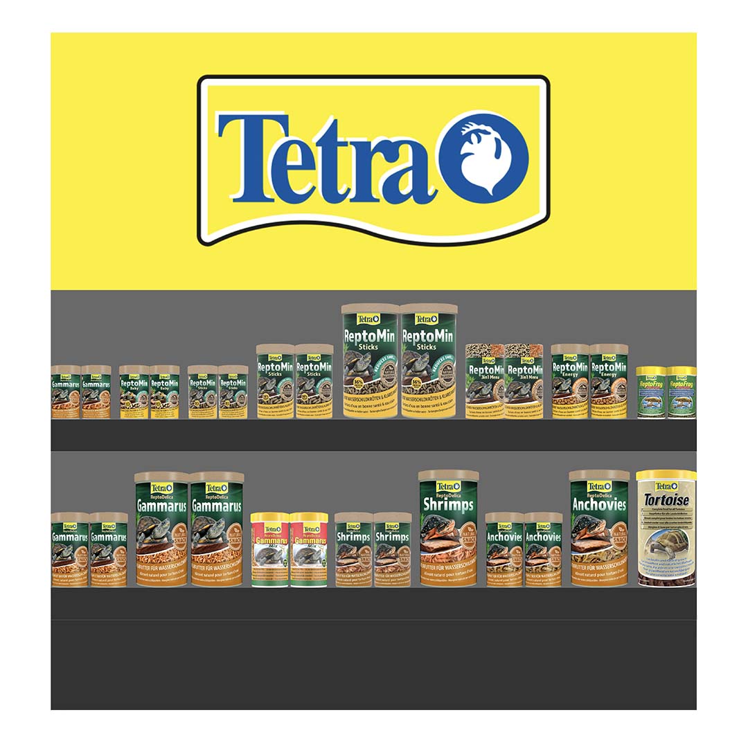 Concept Tetra Nutri Evolution Reptile - Product shot