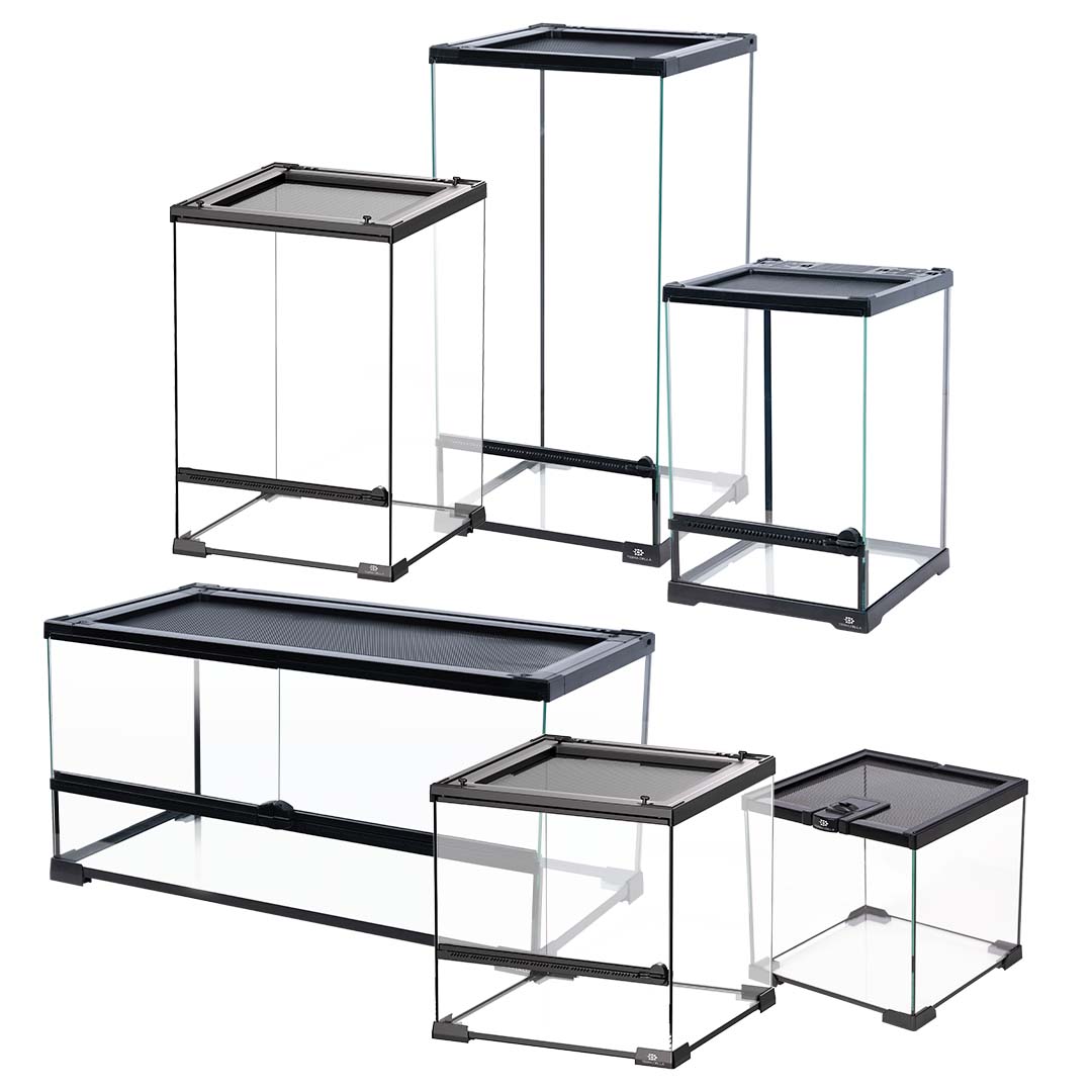 Concept Terra Della terrarium glas - Product shot