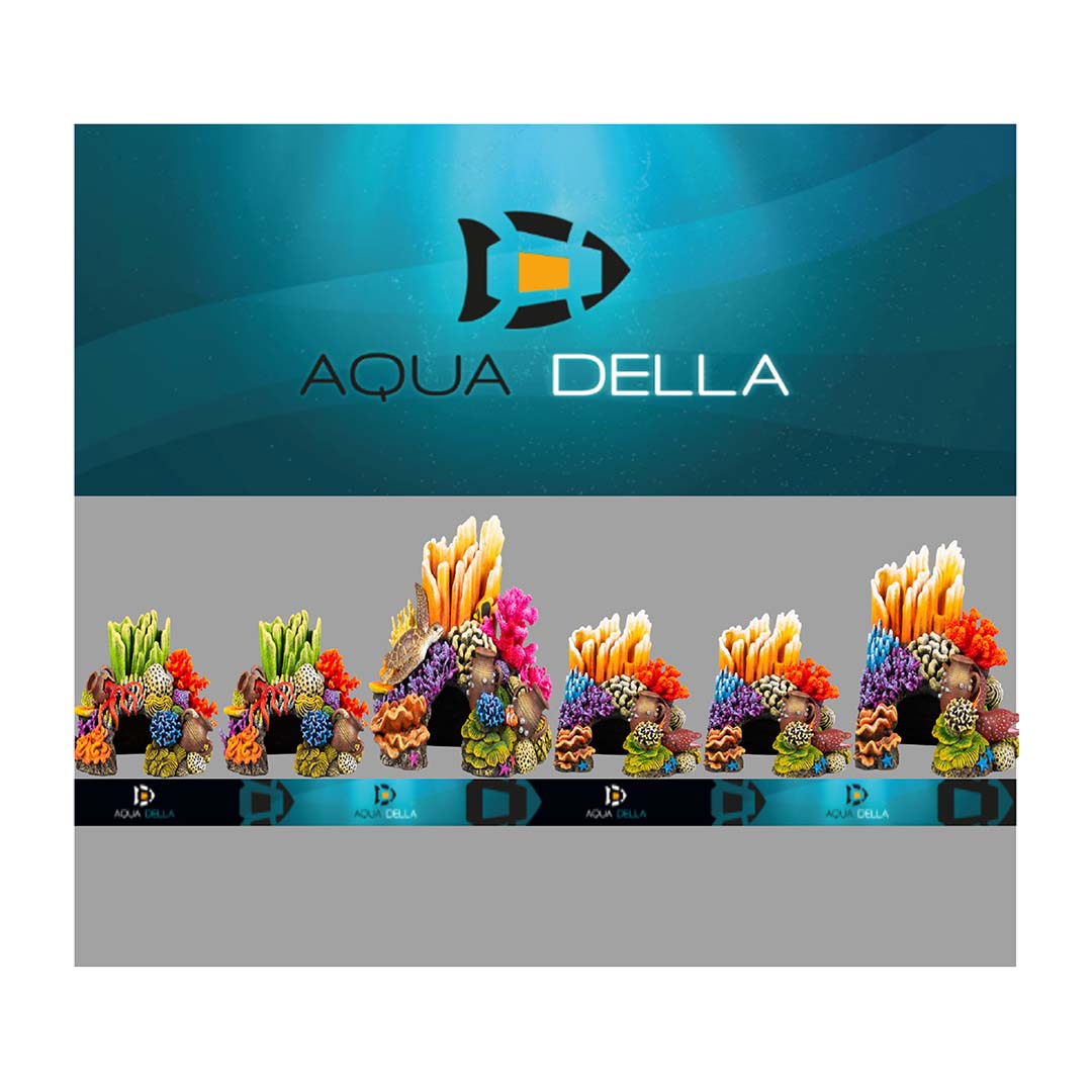 Concept Aqua Della Grottes de corail - Product shot