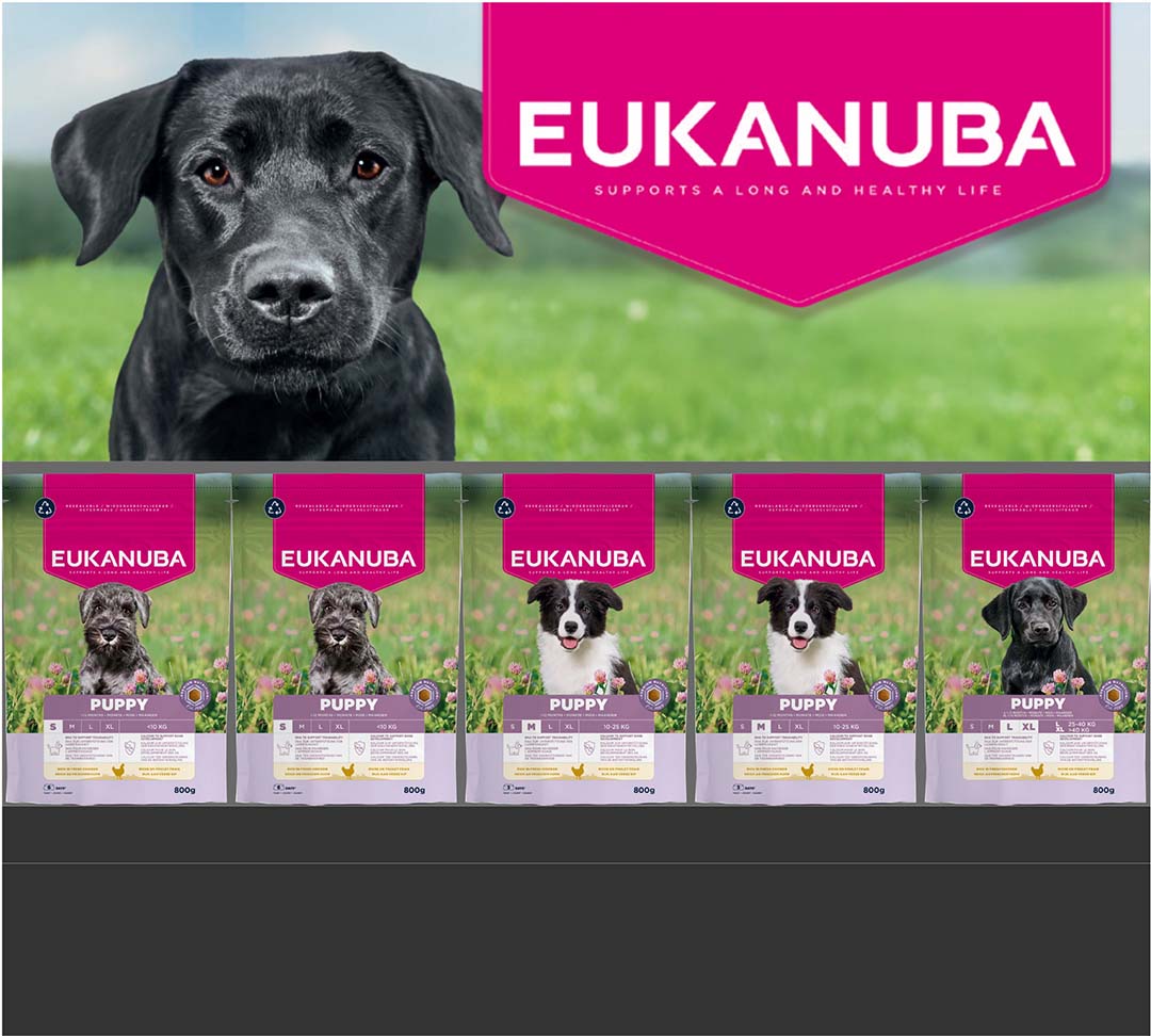 Concept euk hond puppy 800g - Product shot