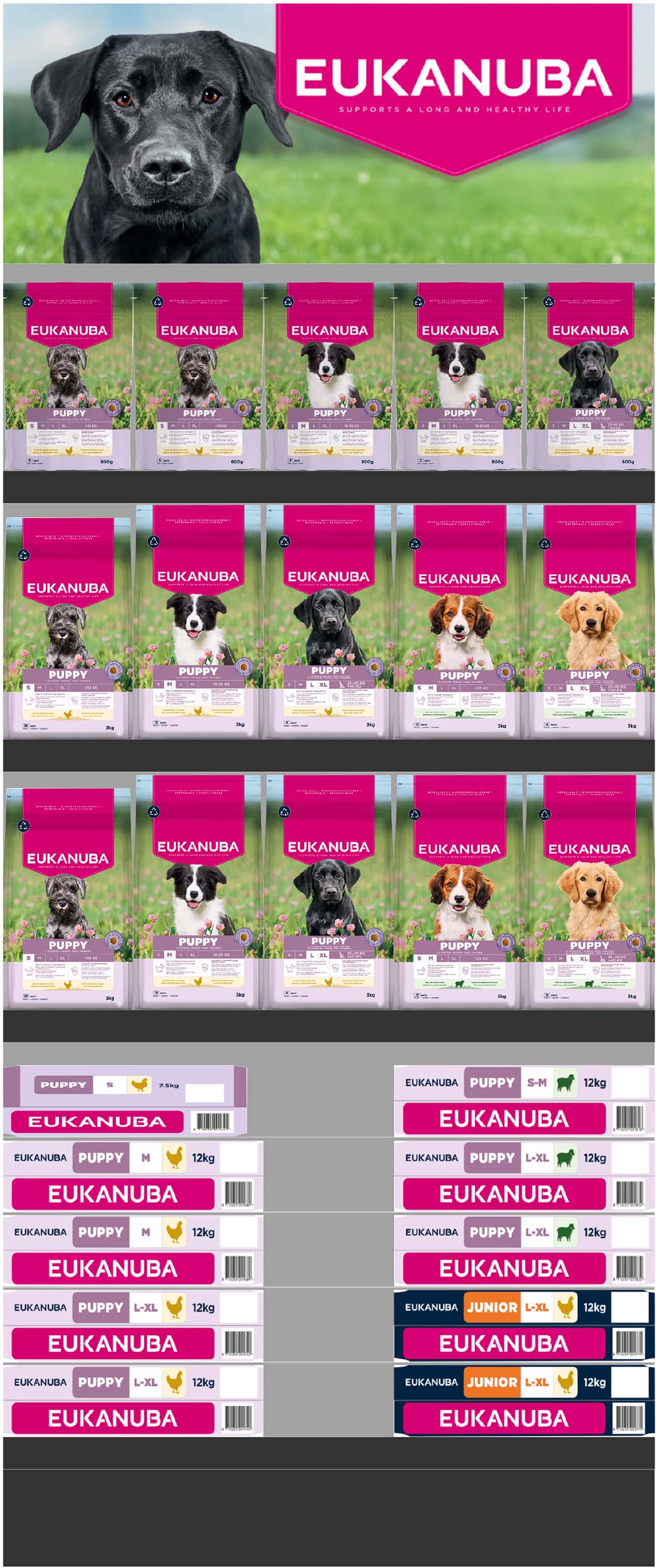 Concept euk hond puppy/junior - Product shot