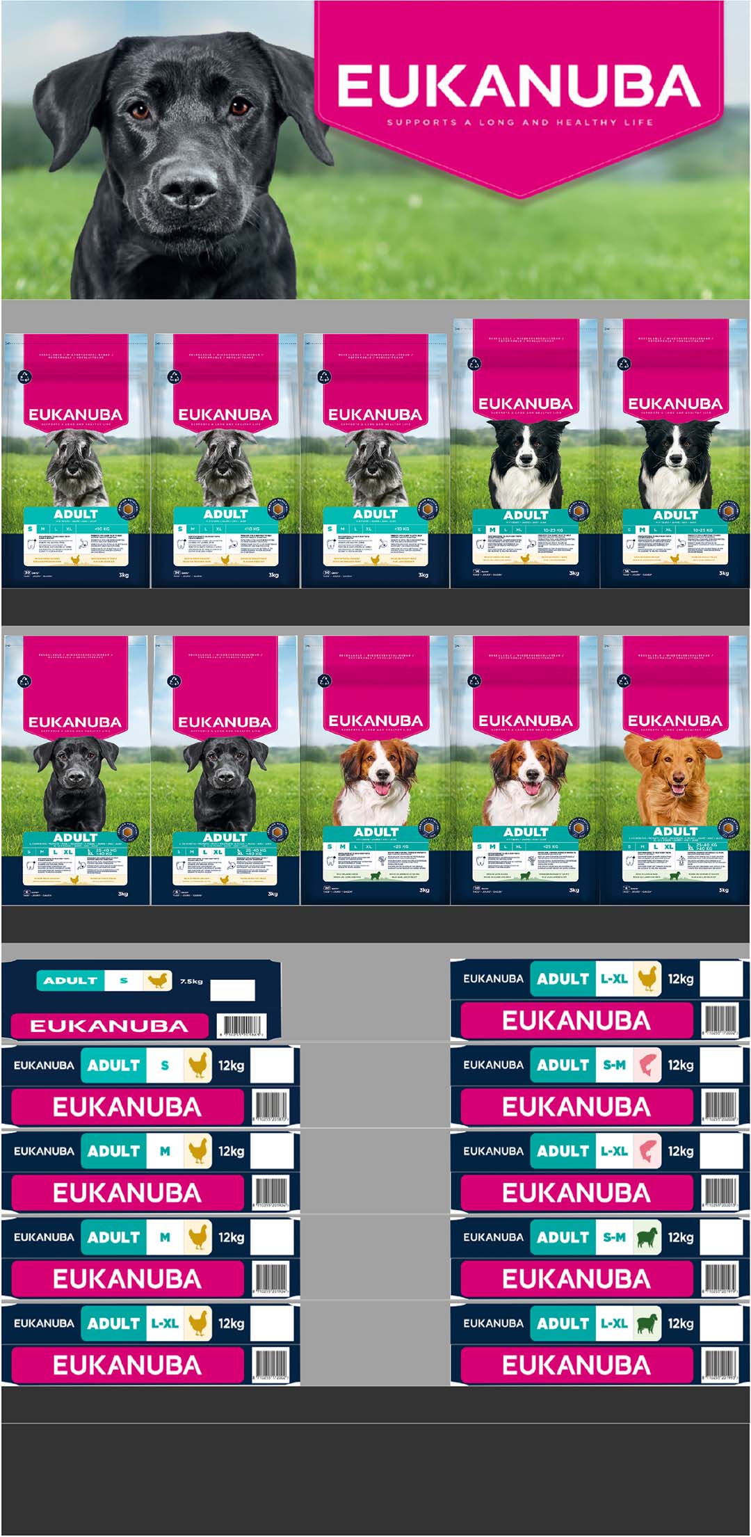 Concept euk dog adult - Product shot