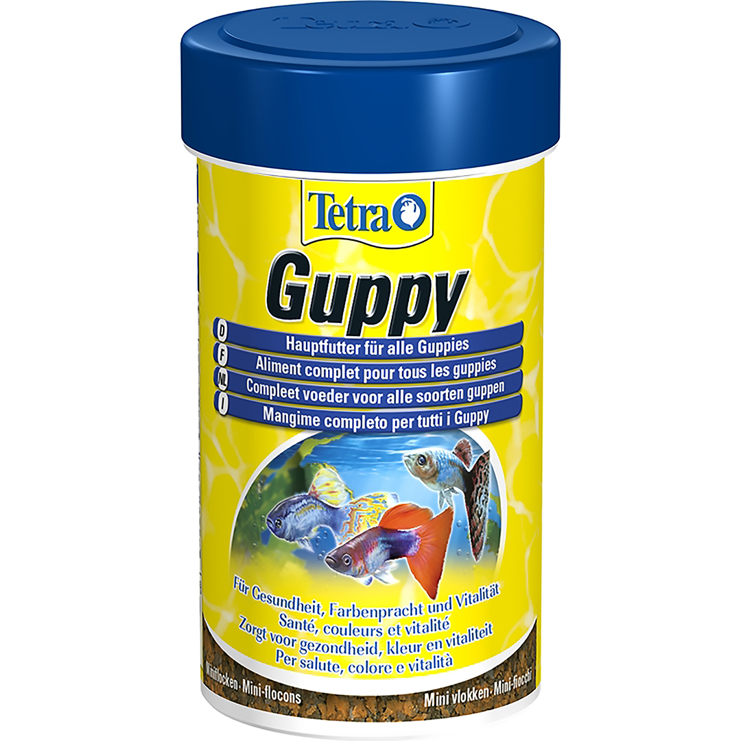 Guppy - <Product shot>