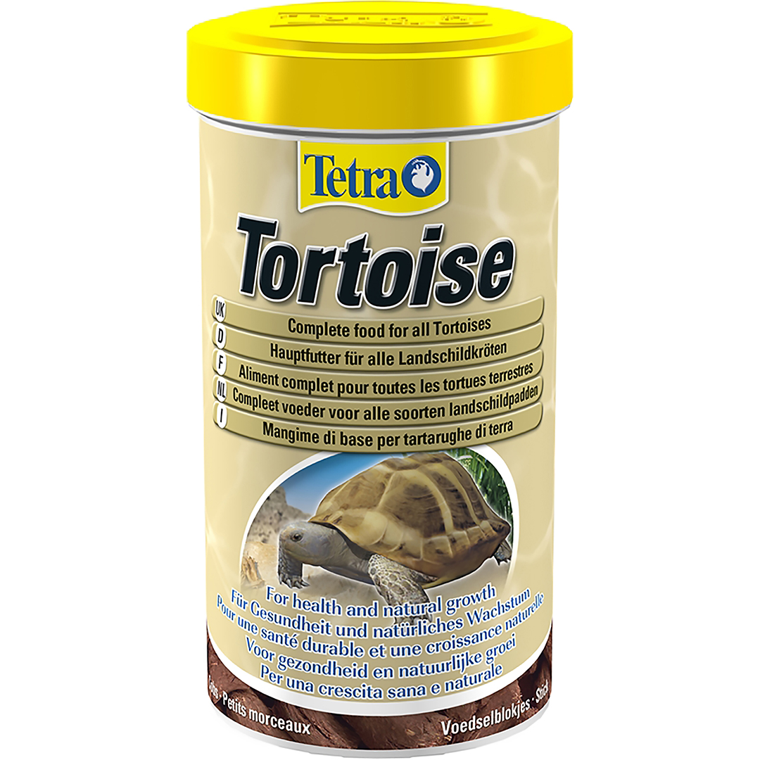 Tortoise - <Product shot>