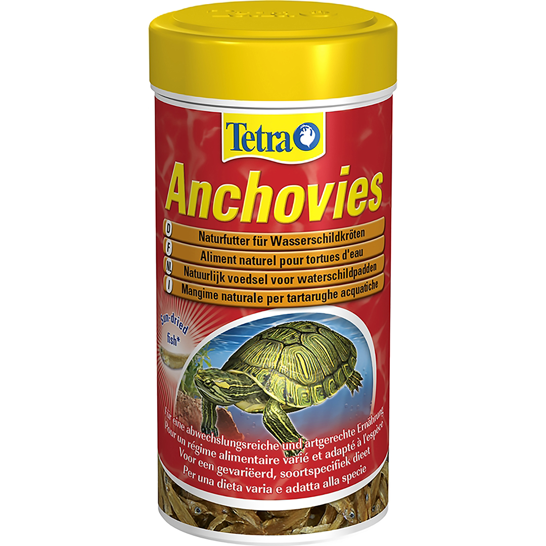 Anchovies - <Product shot>