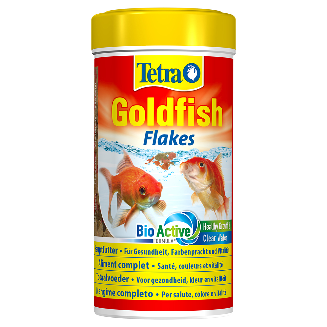 Goldfish - <Product shot>