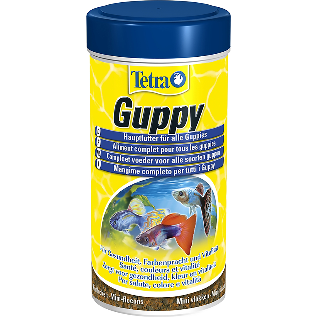 Guppy - <Product shot>