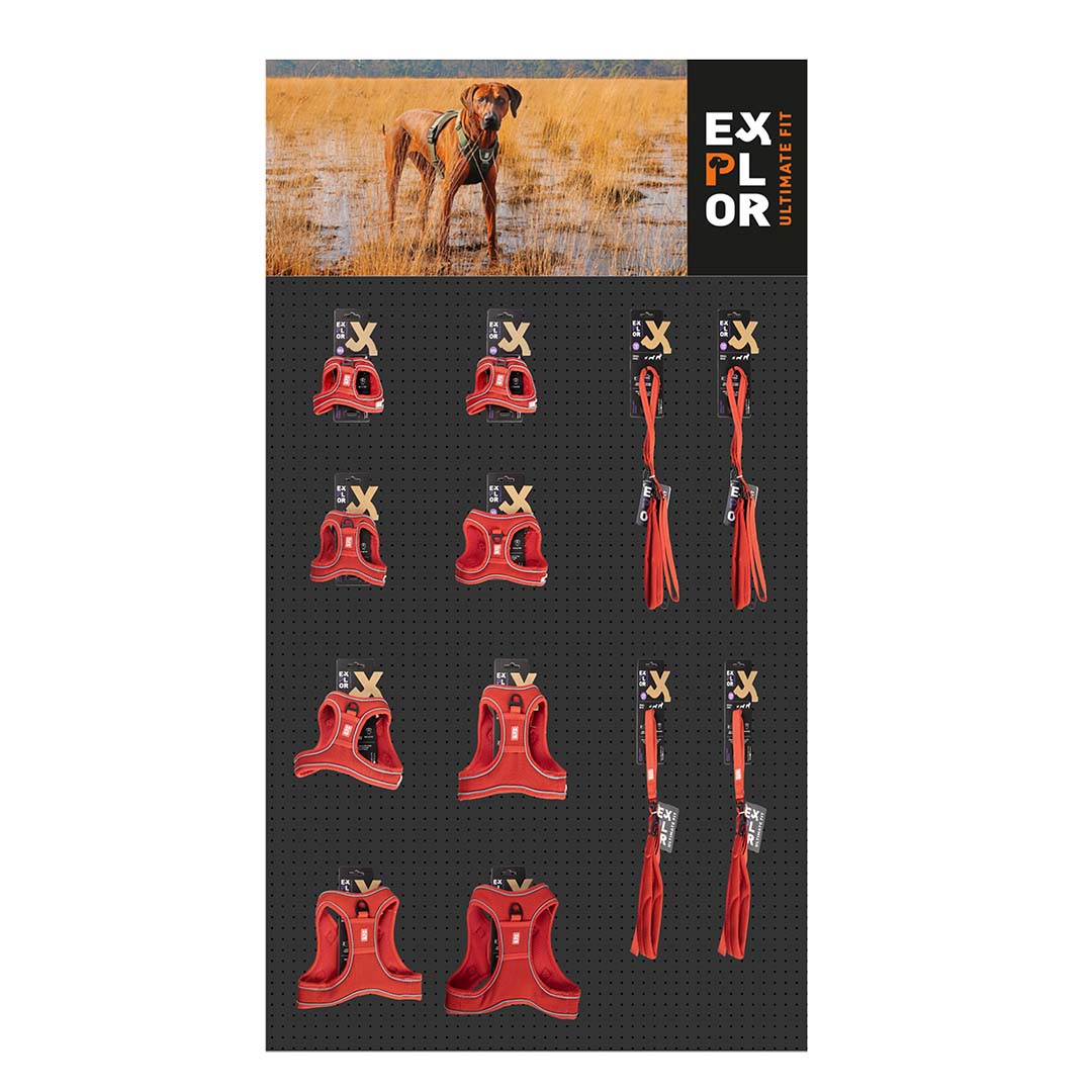 CONCEPT EXPLOR Ultimate Fit perros pequeños rojo - Product shot