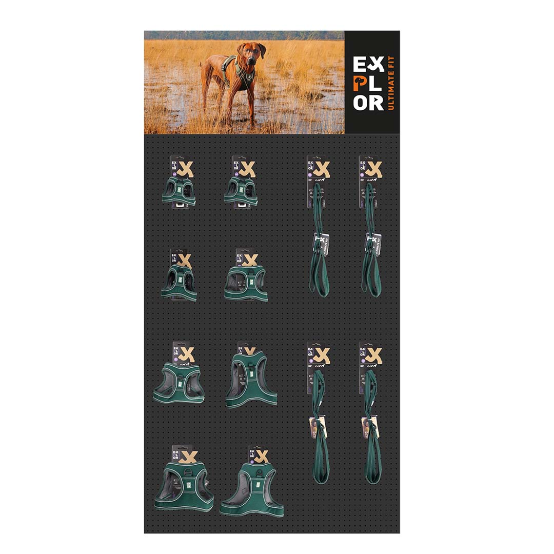 CONCEPT EXPLOR Ultimate Fit perros pequeños verde - Product shot