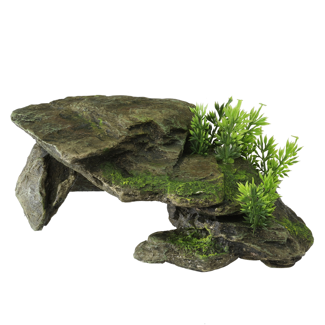 Stone with plants grijs - Product shot