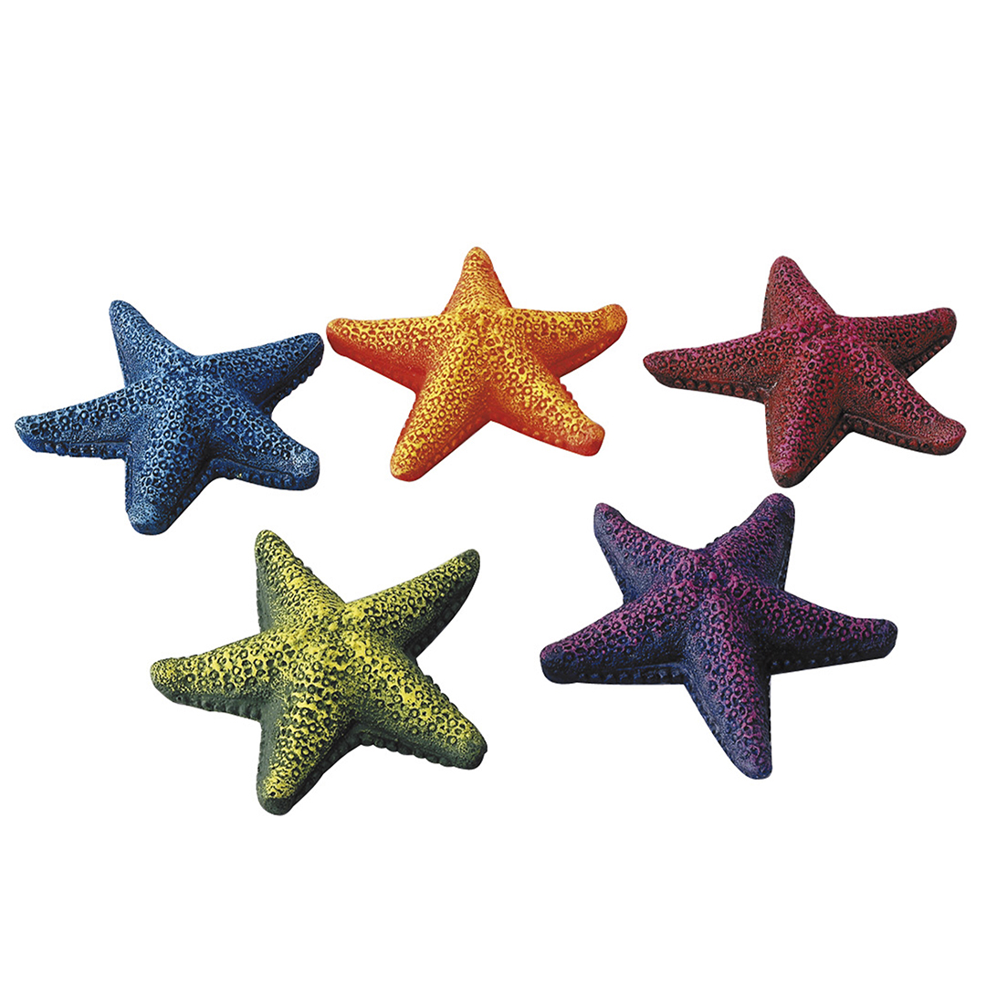 Starfish assorted - Product shot