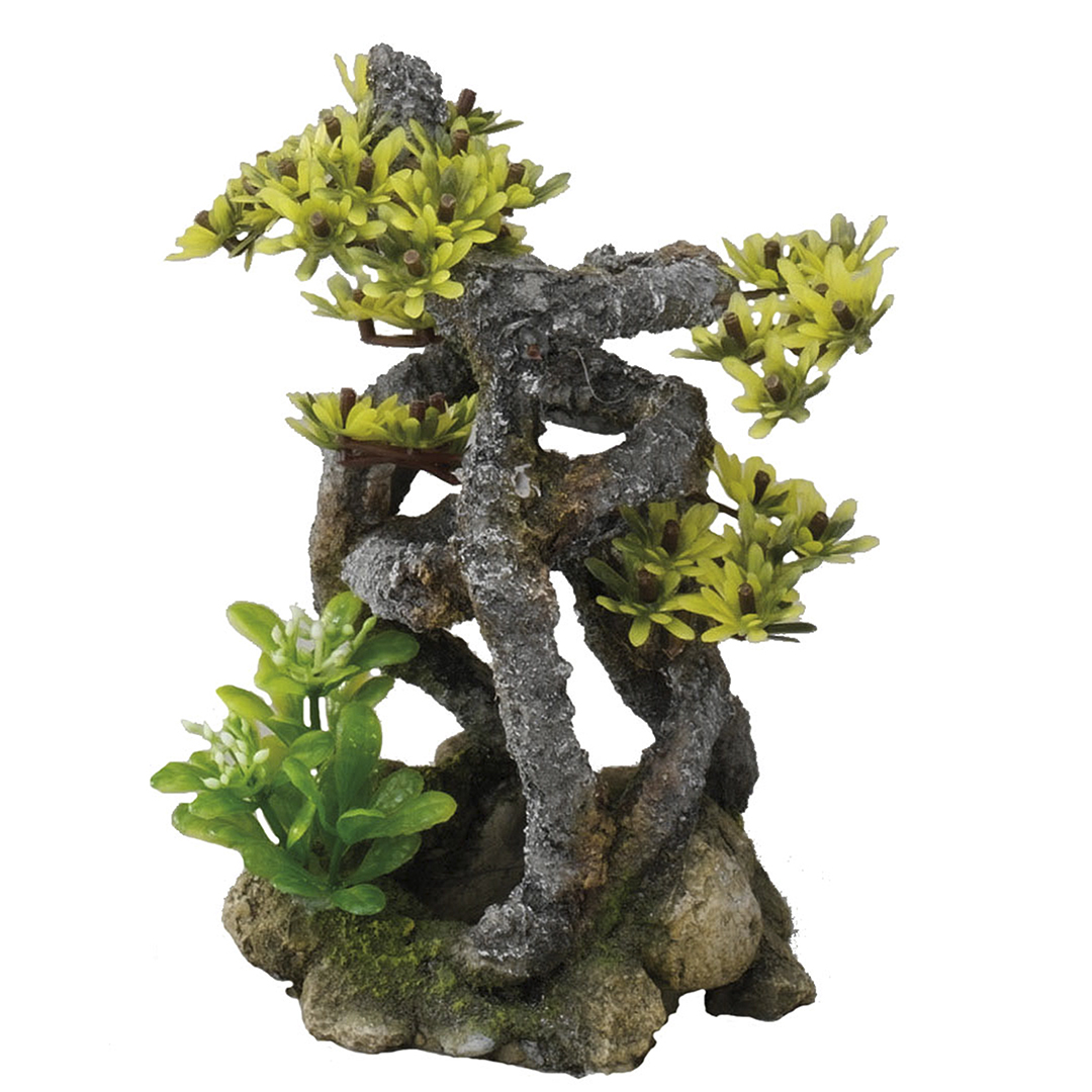 TWISTBONSAI - Product shot