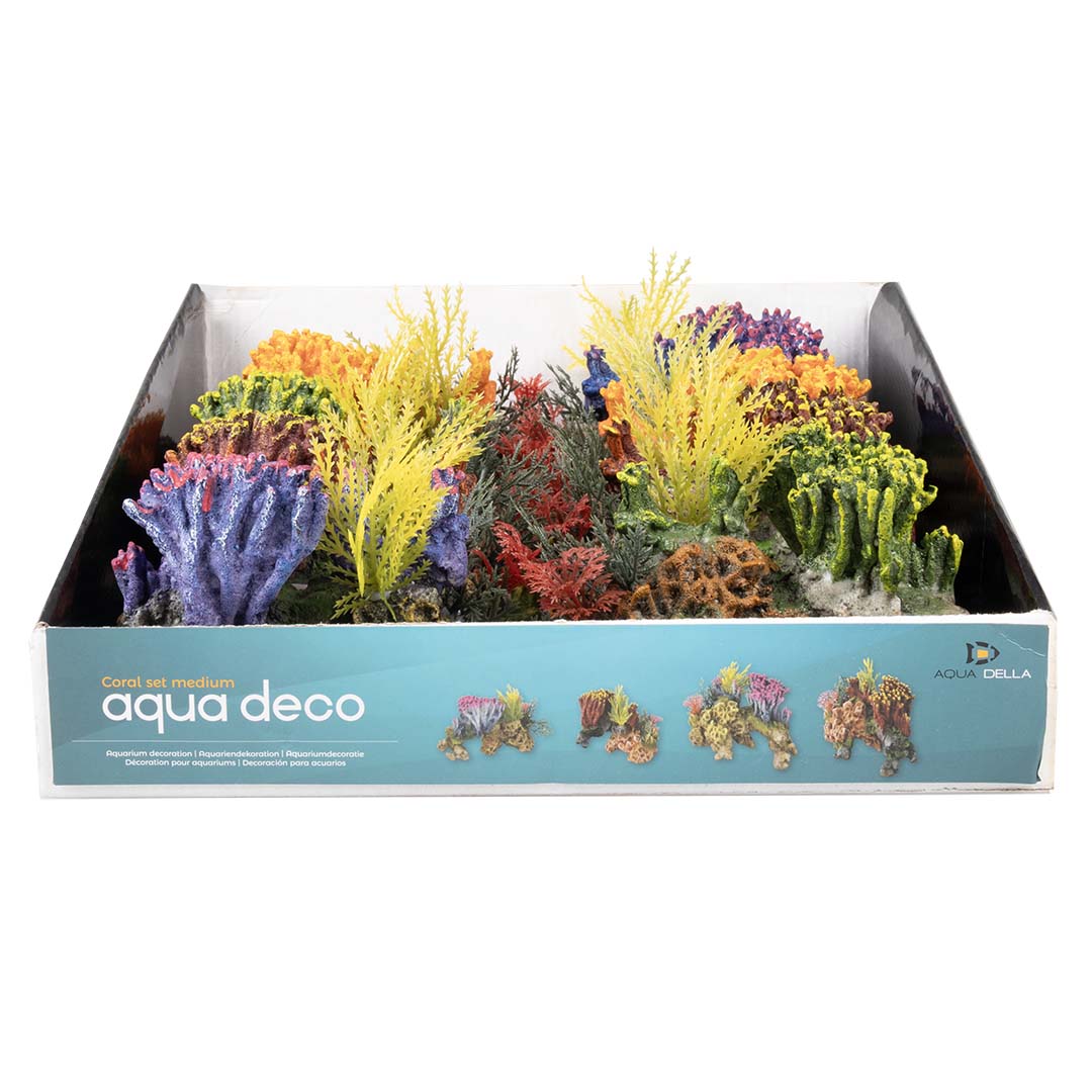 Coralset Medio - Facing