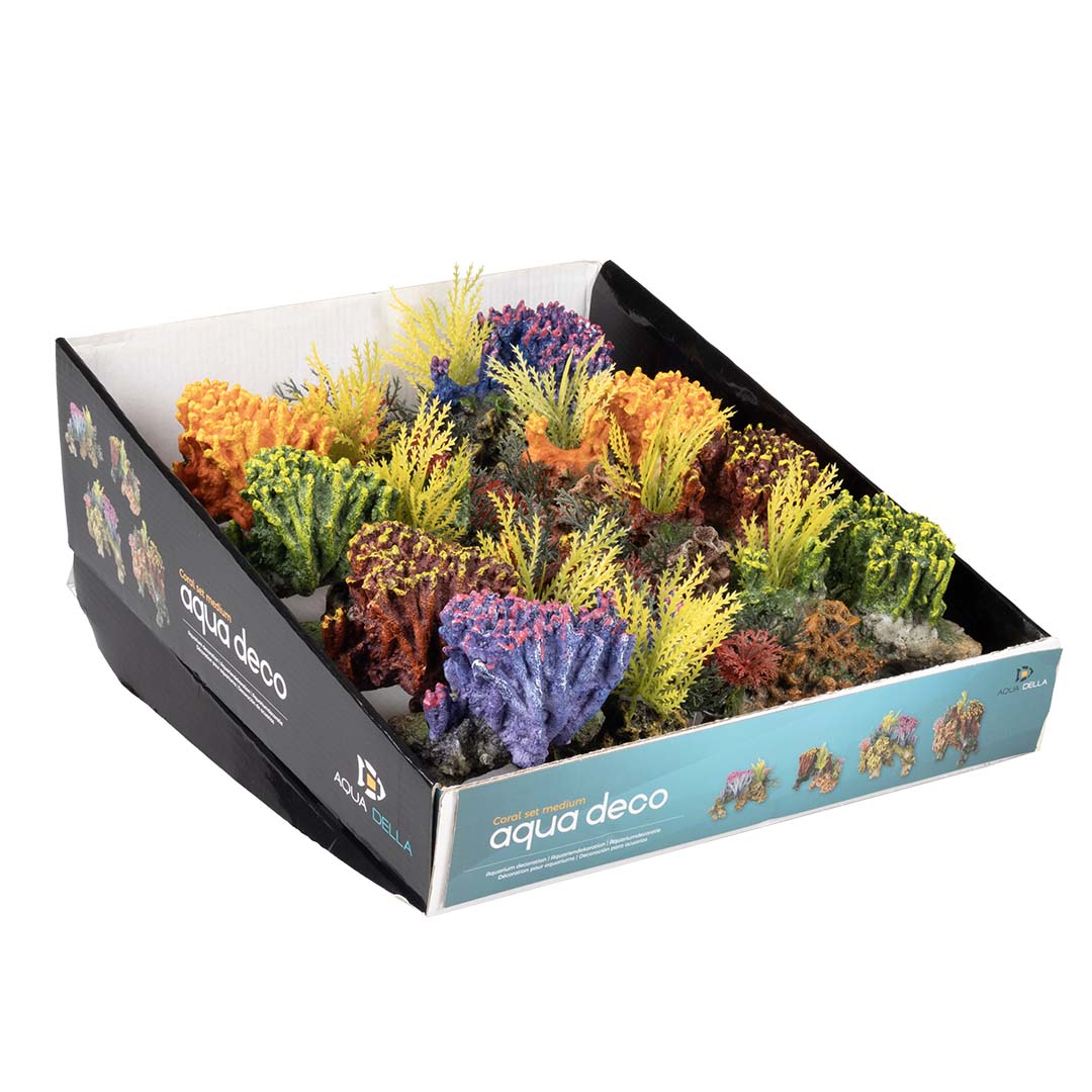 Coralset Medio - Verpakkingsbeeld
