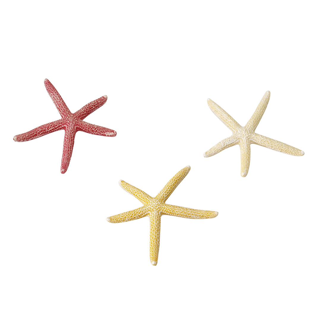 Starfish mix - <Product shot>