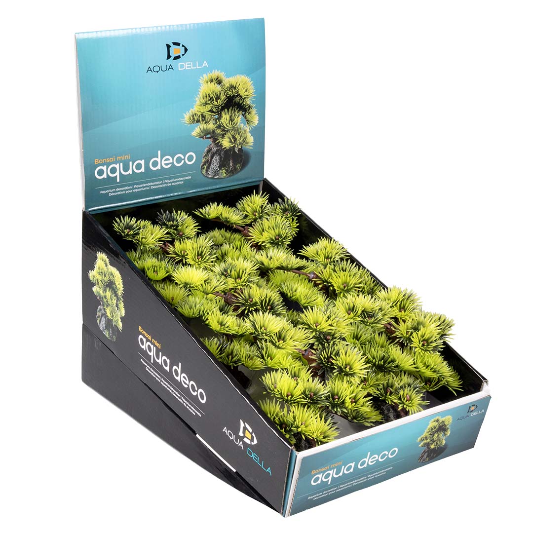 Bonsai Mini - Verpakkingsbeeld
