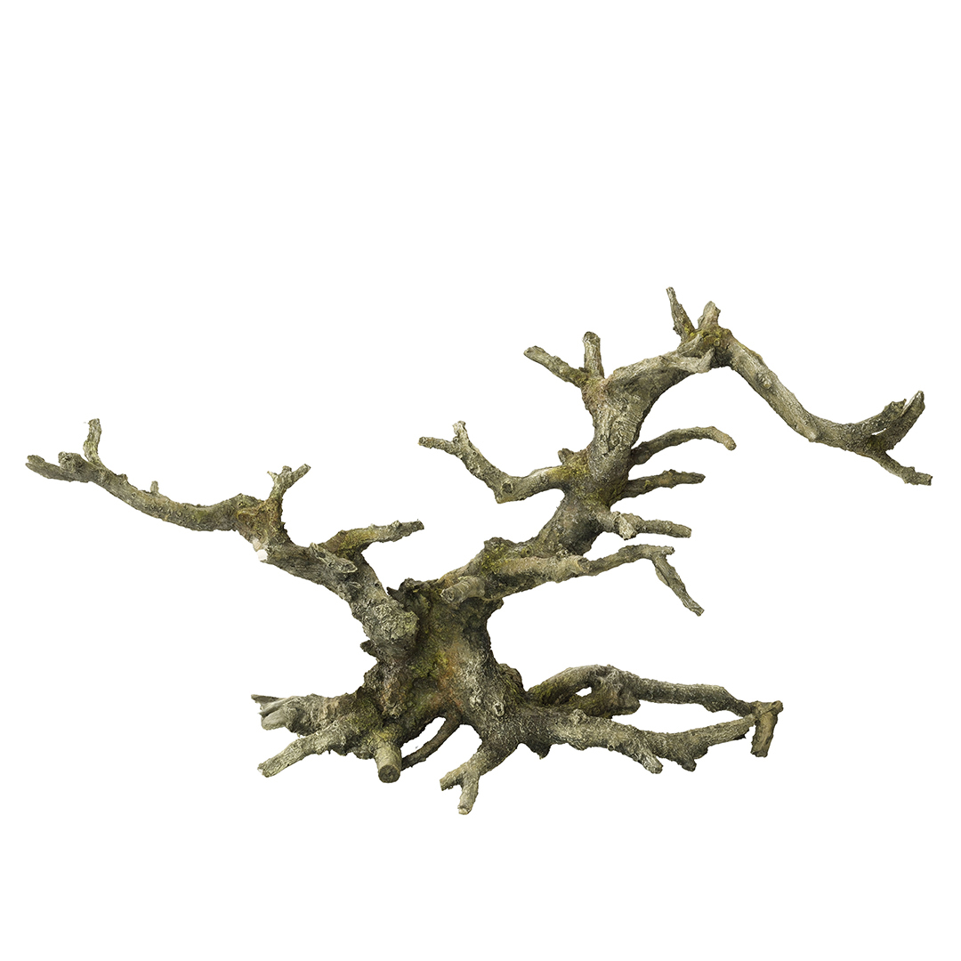Bonsai without leaves grey - Product shot