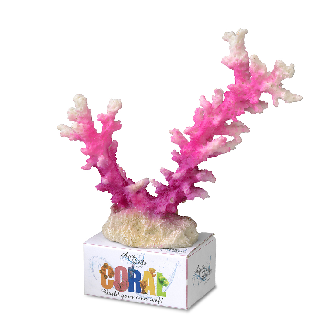 Coral module staghorn coral rose/blanc - Product shot