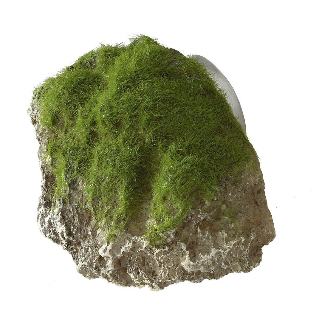 Moss stone with suction cup - <Product shot>