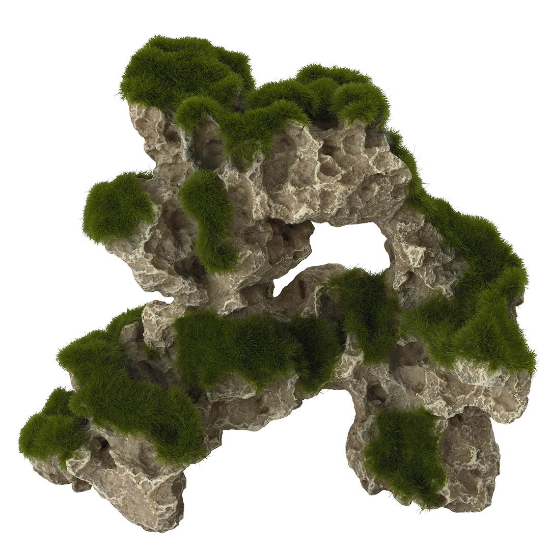 MOSS ROCK - <Product shot>