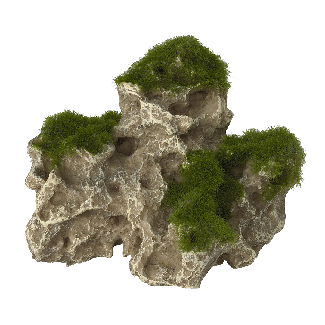 MOSS ROCK - <Product shot>